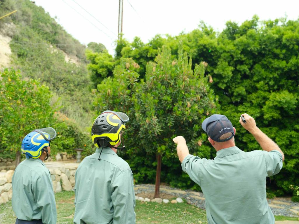 How to prepare your trees for winter 14 team pointing at hedge
