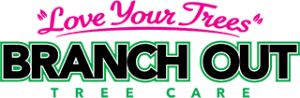 branch out tree care full color logo
