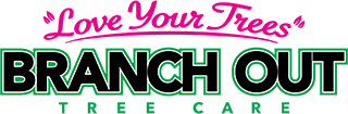 branch out tree care full color logo