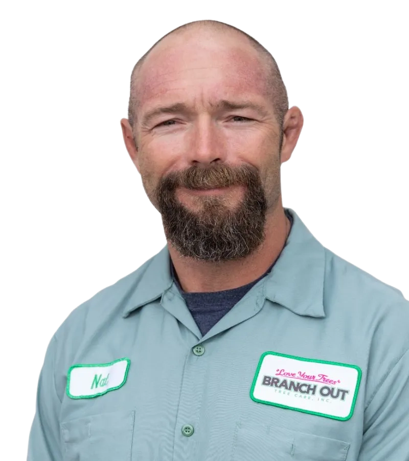 Nat Branch Out Tree Care web
