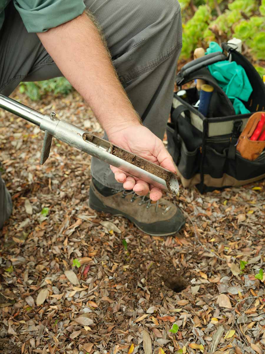 arborist inspecting soil probe for plant health care