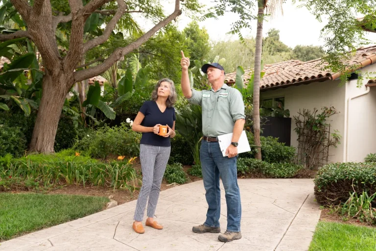 arborist tree inspection customer santa barbara-93109