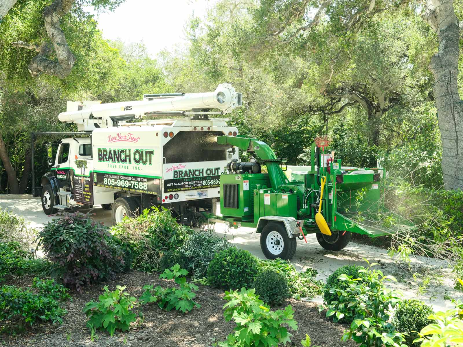 branch out wood chipper truck
