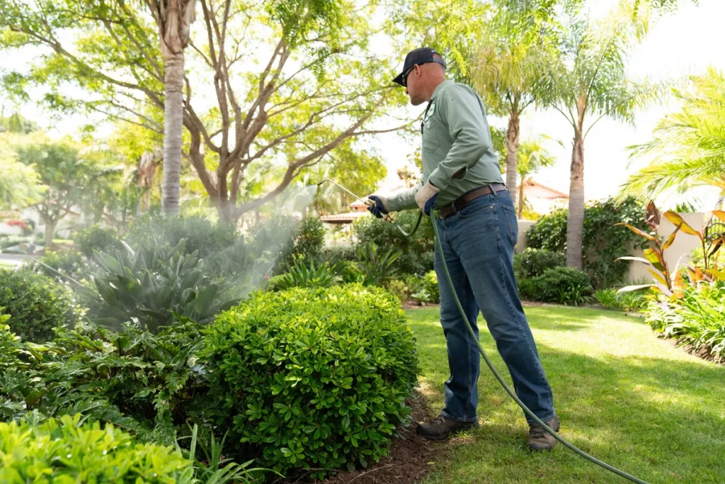 foliar feeding landscape shrubs santa barbara-93101