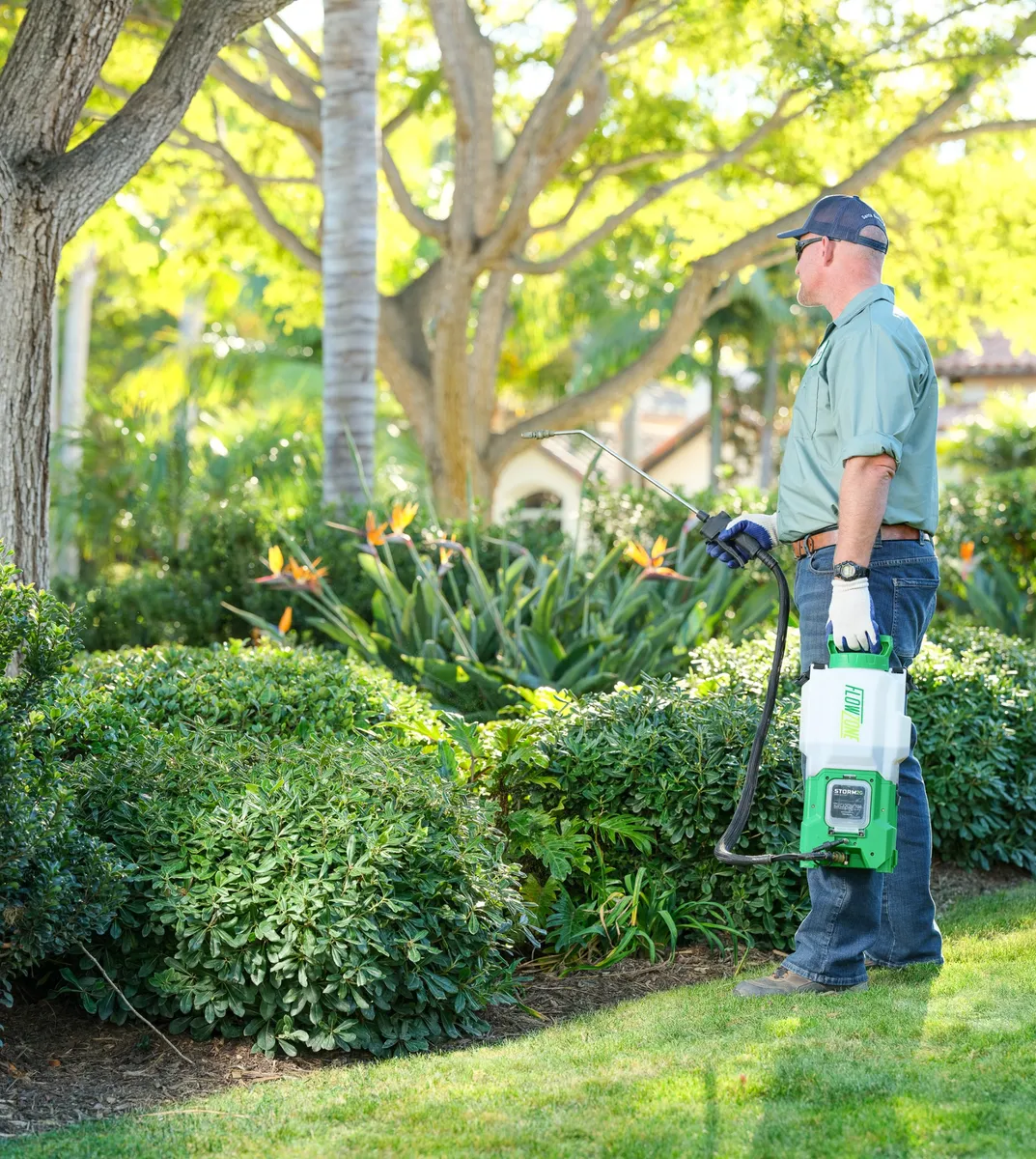 kelp foliar feeding hedges