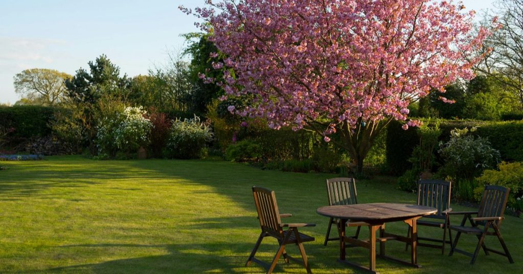 How can trees impact your property's value and curb appeal 45 trees impact property curb appeal